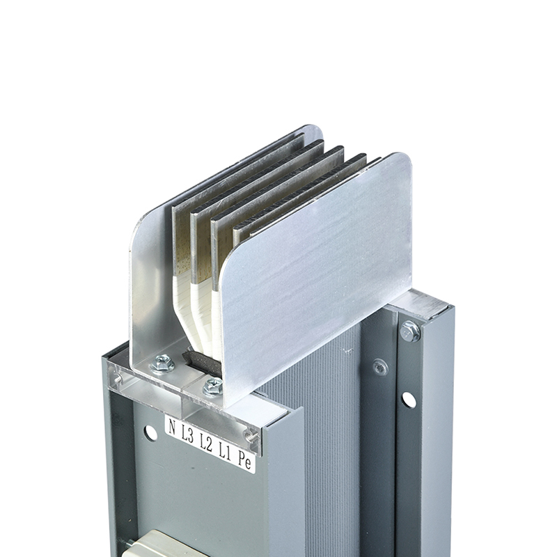 SWL�z�U�����C