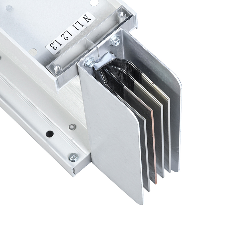 SWL�z�U�����C